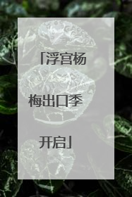 浮宫杨梅出口季开启